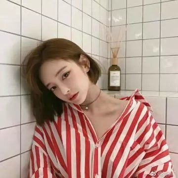 宝嘉先生